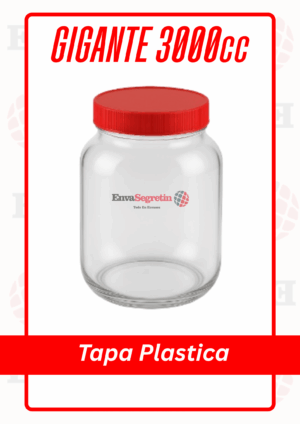 Gigante 3000cc Tapa Plastica
